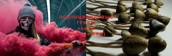 Альфа ПВП Абаза