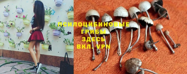 ECSTASY Абинск