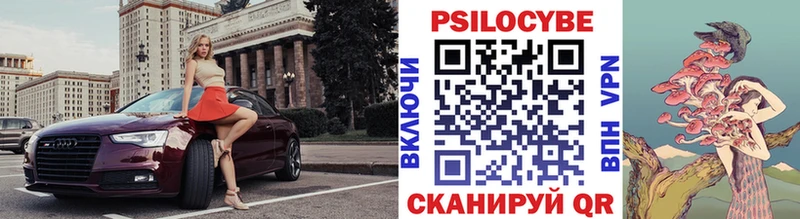 Псилоцибиновые грибы Psilocybe  Уржум 
